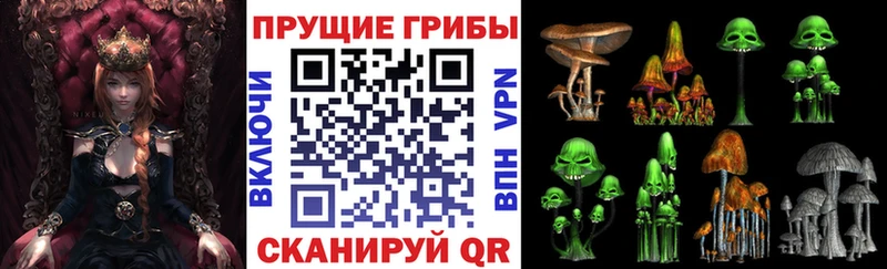 где продают наркотики  KRAKEN ссылки  Галлюциногенные грибы Psilocybine cubensis  Тарко-Сале 